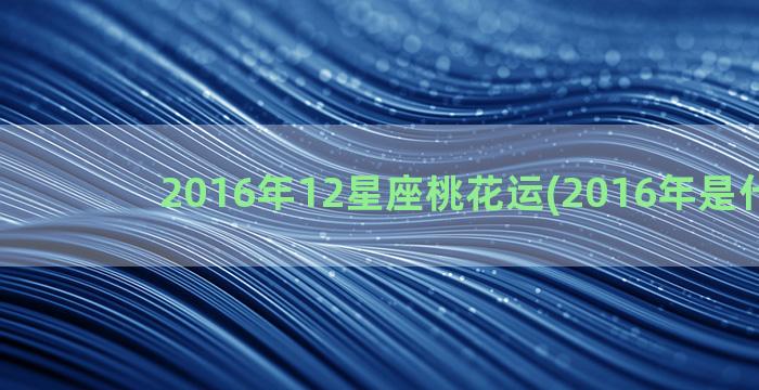 2016年12星座桃花运(2016年是什么星)