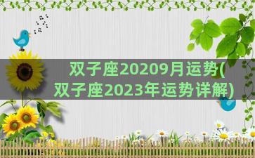 双子座20209月运势(双子座2023年运势详解)
