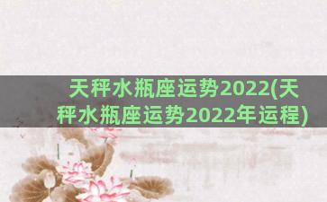 天秤水瓶座运势2022(天秤水瓶座运势2022年运程)