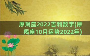 摩羯座2022吉利数字(摩羯座10月运势2022年)