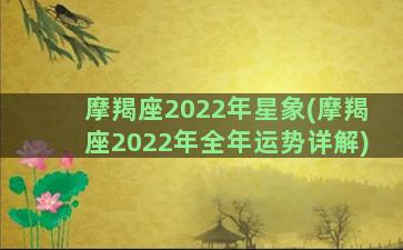 摩羯座2022年星象(摩羯座2022年全年运势详解)