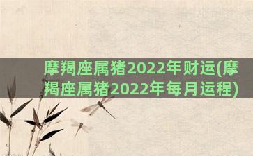 摩羯座属猪2022年财运(摩羯座属猪2022年每月运程)