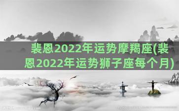 裴恩2022年运势摩羯座(裴恩2022年运势狮子座每个月)